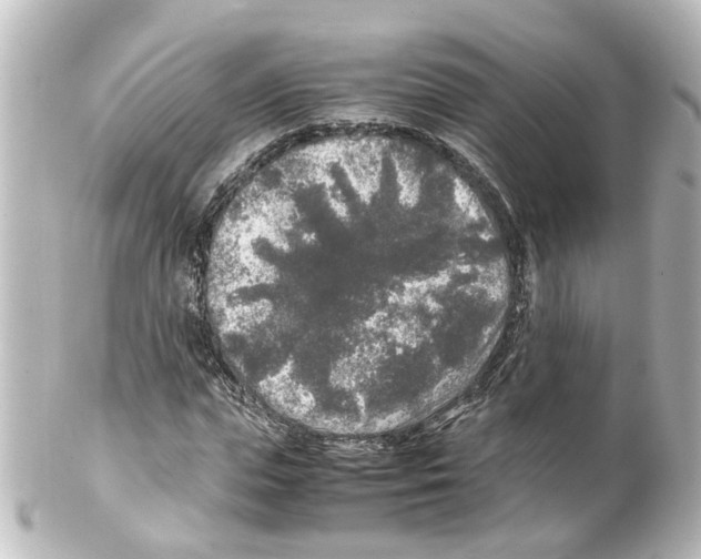 X0000100230823200806271748