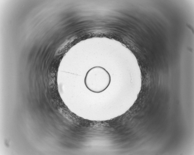 X0000100230824200806271748