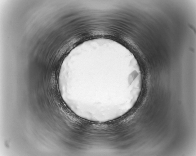 X0000100230825200806271748