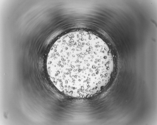 X0000100230826200806271748