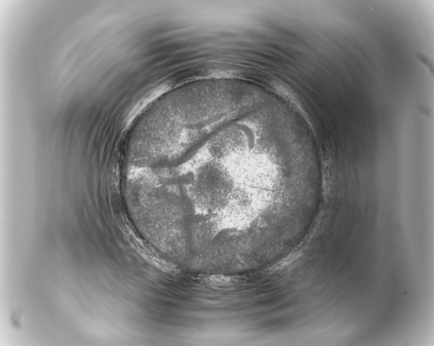 X0000100230827200806271748