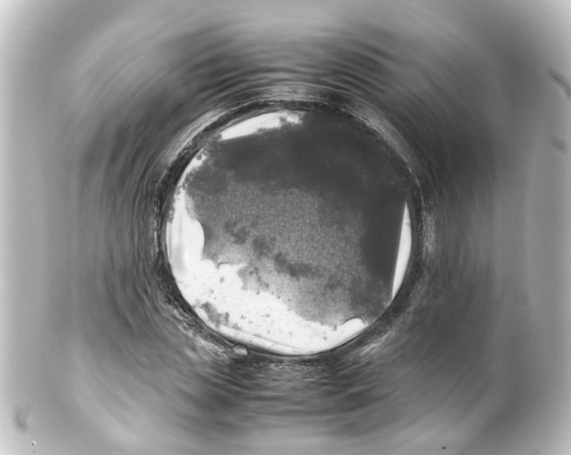 X0000100230829200806271748