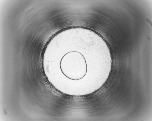 X0000100230832200806271748