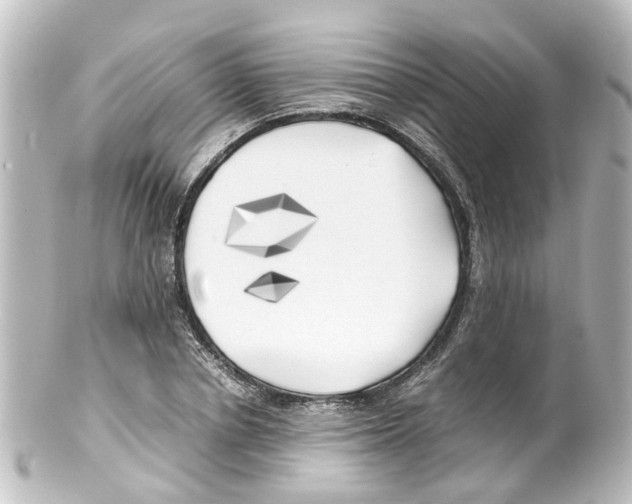 X0000100230834200806271748