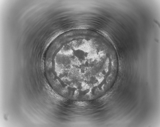 X0000100230835200806271748