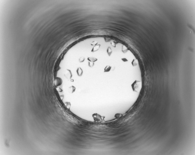 X0000100230837200806271748
