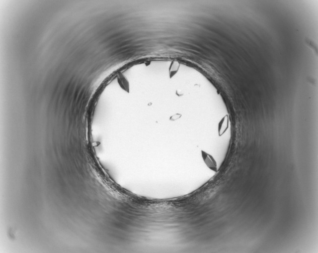 X0000100230838200806271748