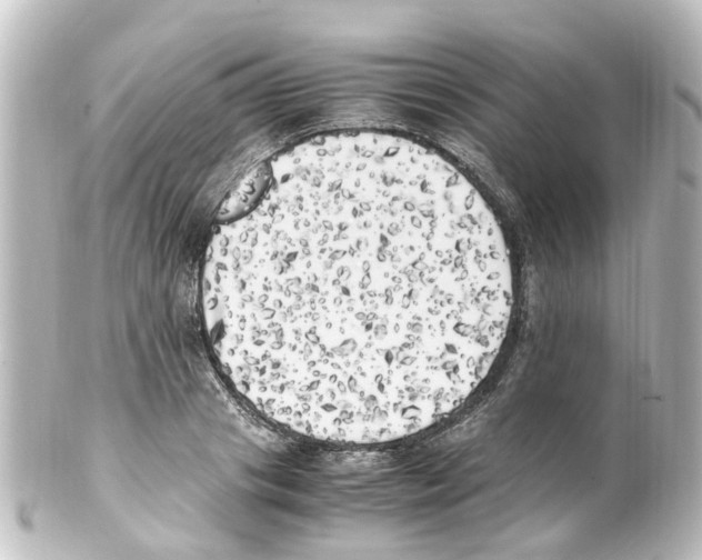 X0000100230841200806271748