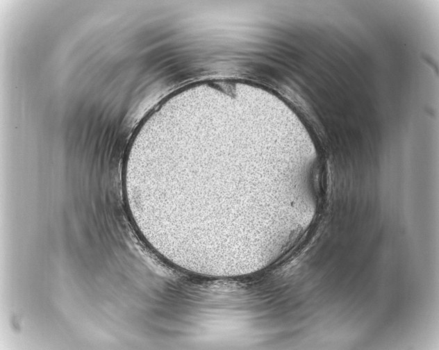 X0000100230842200806271748