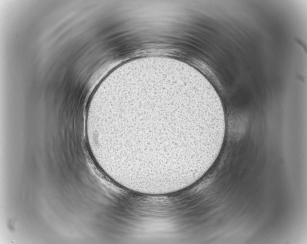 X0000100230844200806271748