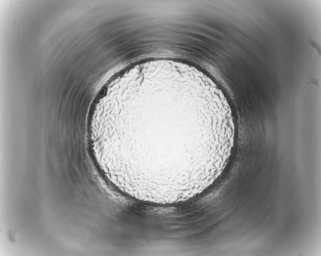 X0000100230845200806271748