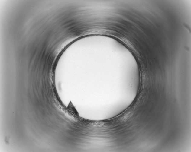 X0000100230846200806271748