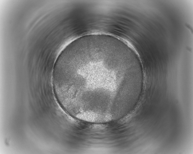 X0000100230847200806271748