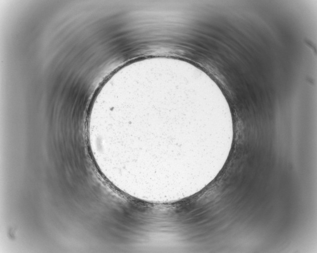X0000100230848200806271748