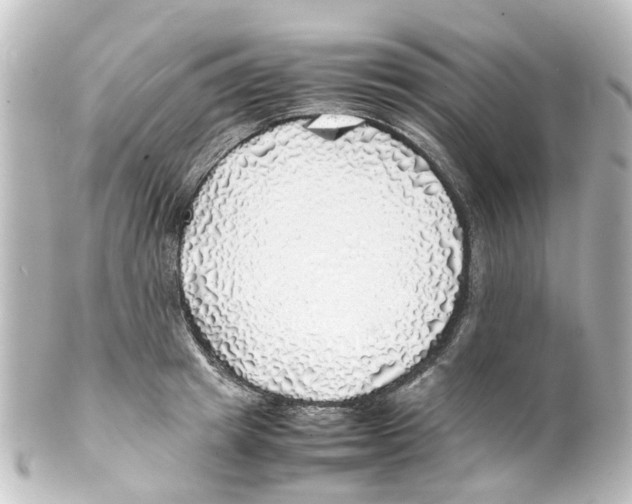 X0000100230849200806271748