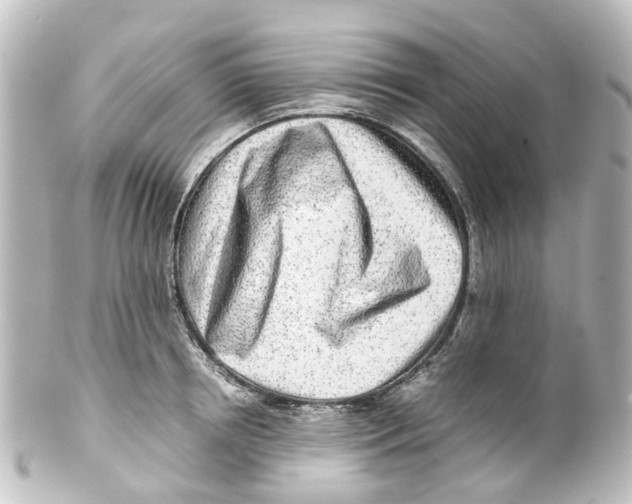 X0000100230850200806271748
