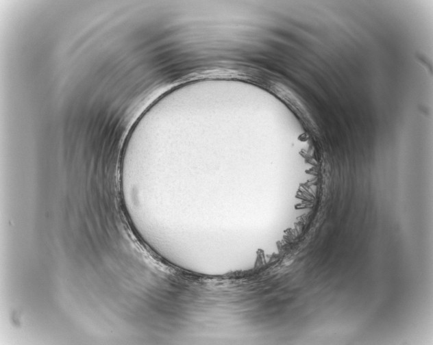 X0000100230852200806271748