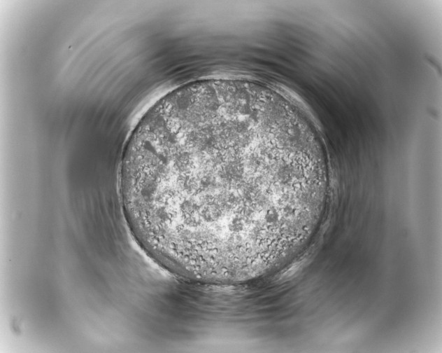 X0000100230855200806271748
