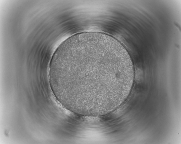 X0000100230856200806271748
