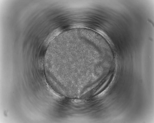 X0000100230857200806271748