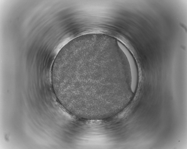 X0000100230858200806271748