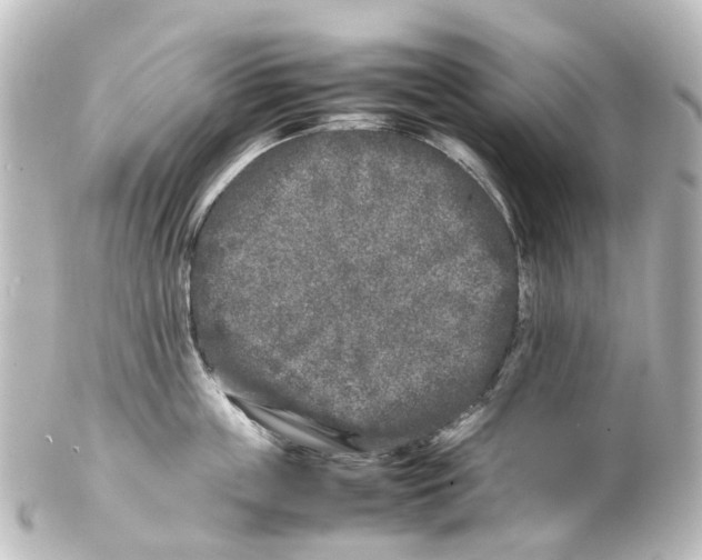 X0000100230859200806271748