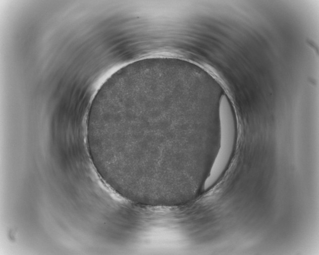 X0000100230862200806271748