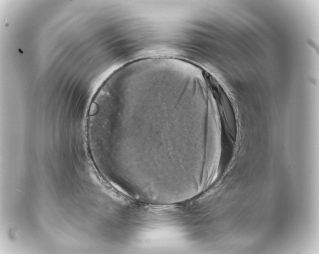 X0000100230864200806271748