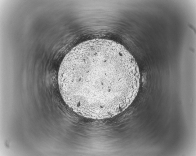 X0000100230867200806271748