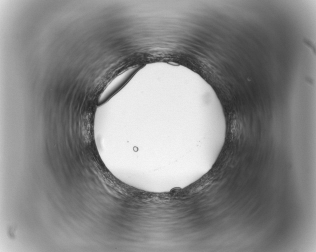 X0000100230868200806271748