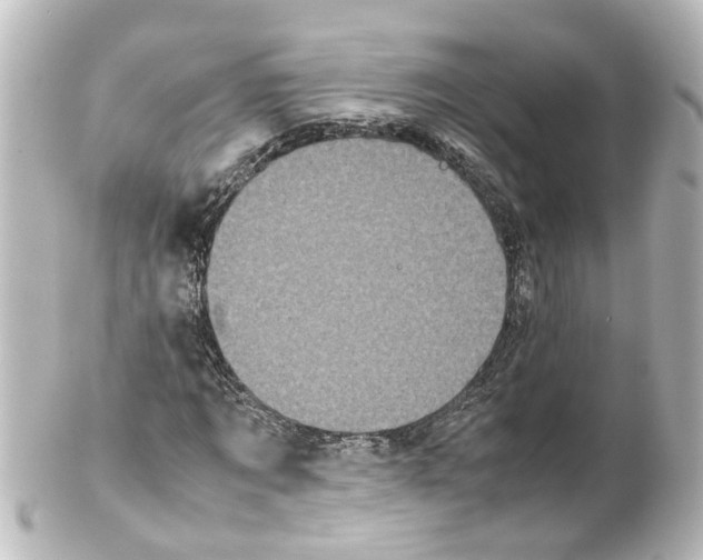 X0000100230869200806271748