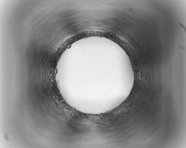 X0000100230870200806271748