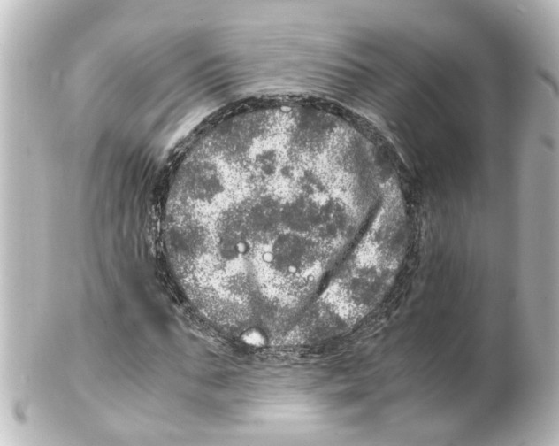 X0000100230871200806271747