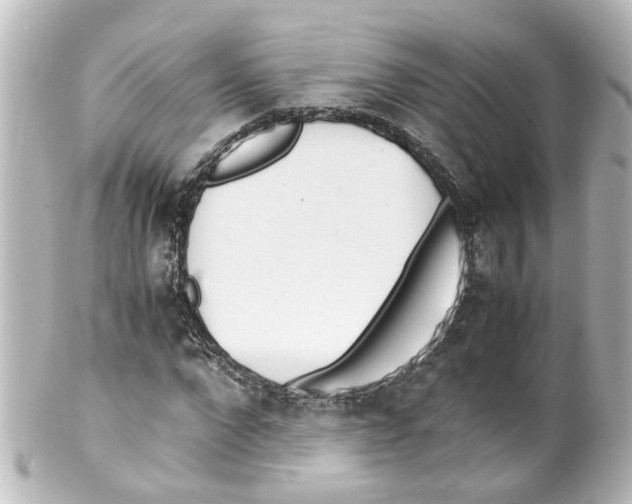 X0000100230872200806271747