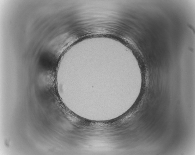 X0000100230873200806271747