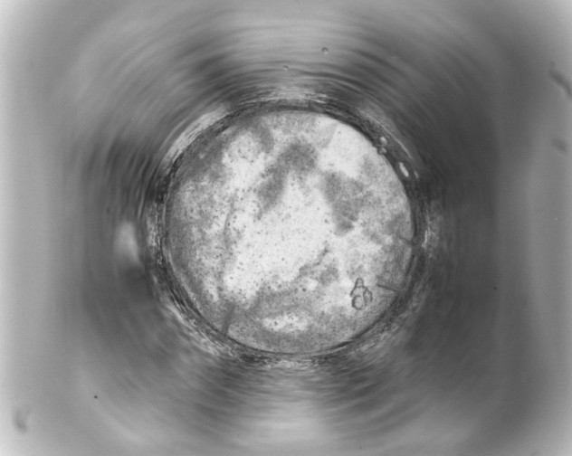 X0000100230874200806271747