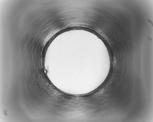 X0000100230877200806271747