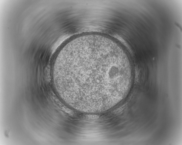 X0000100230878200806271747