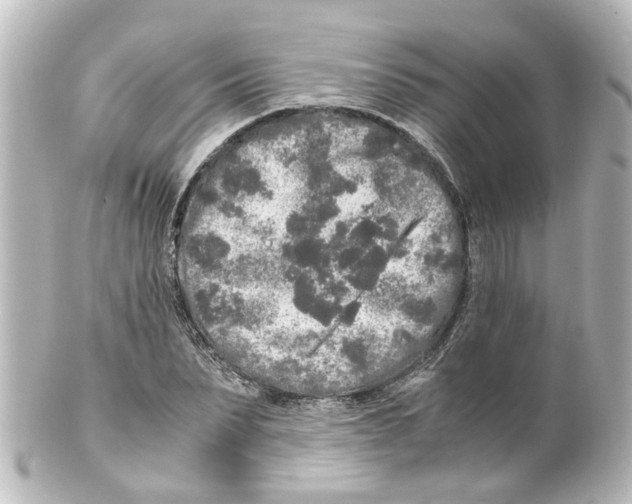 X0000100230879200806271747