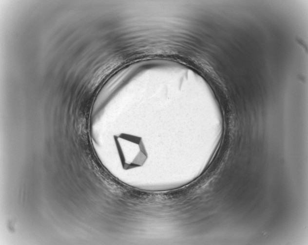 X0000100230881200806271747