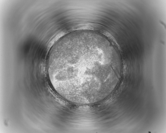 X0000100230882200806271747