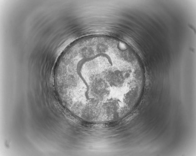 X0000100230883200806271747