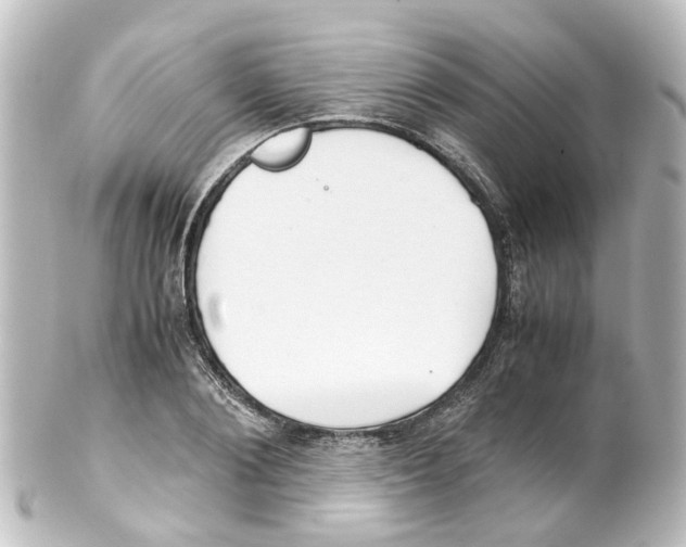 X0000100230884200806271747