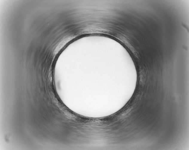 X0000100230885200806271747