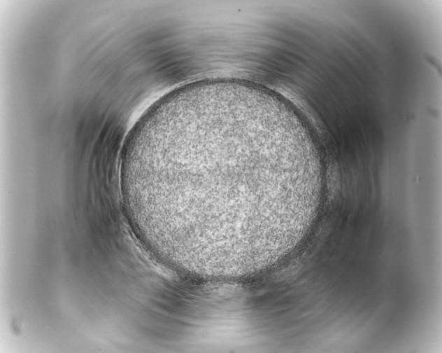 X0000100230886200806271747