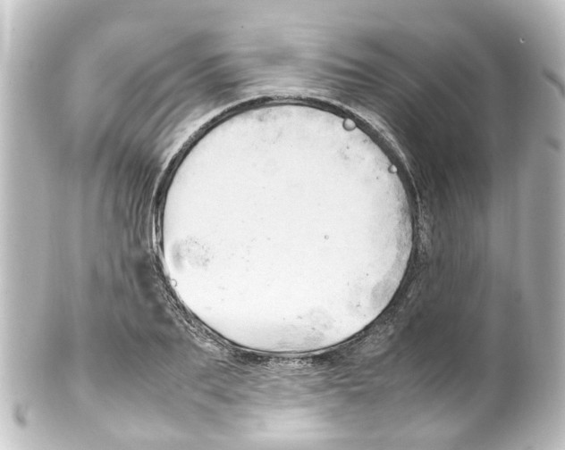 X0000100230887200806271747