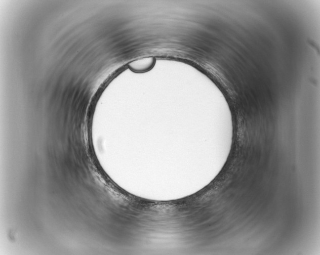 X0000100230888200806271747