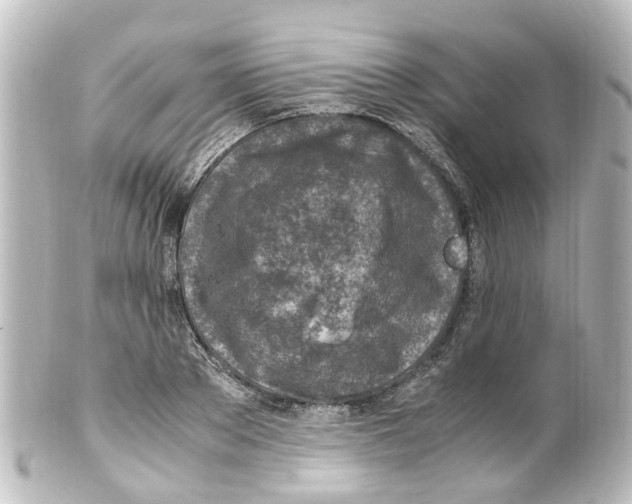 X0000100230889200806271747