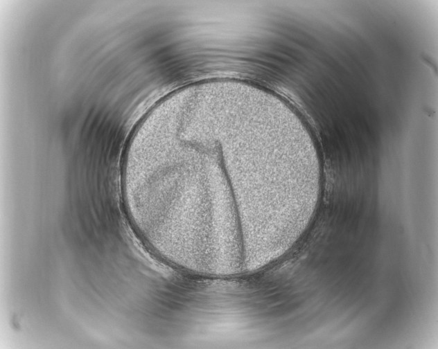 X0000100230890200806271747