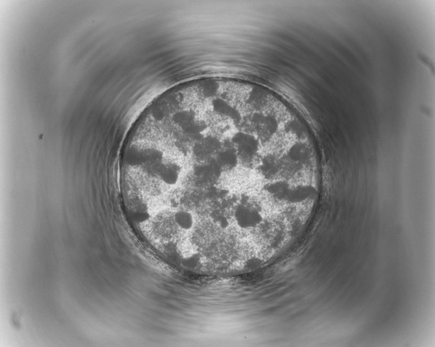 X0000100230891200806271747